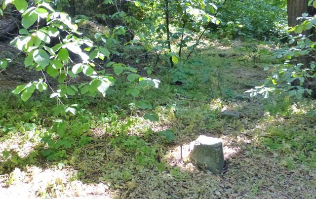 Stone piers left standing where a cabin once sat, 2015.